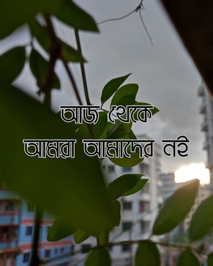 আজ থেকে আমরা আমাদের নই