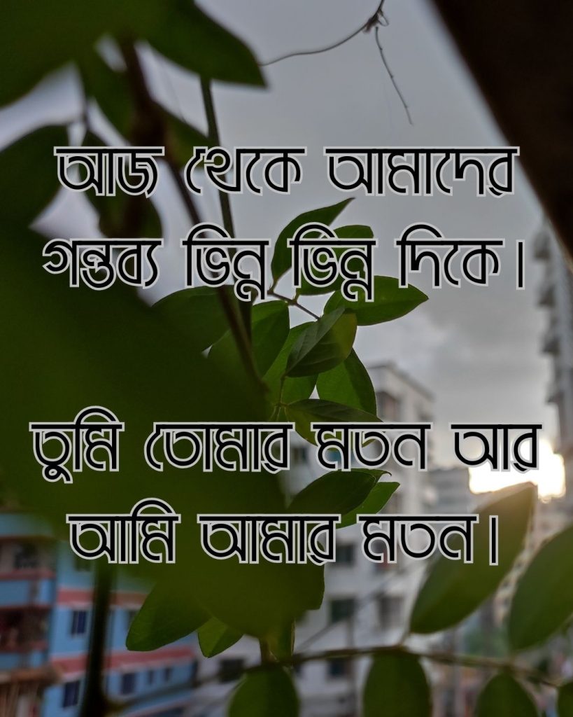 আজ থেকে আমাদের গন্তব্য ভিন্ন