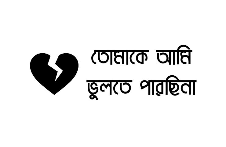 তোমাকে আমি ভুলতে পারছিনা