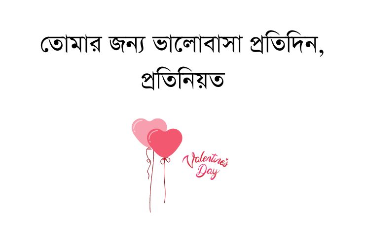 তোমার জন্য ভালোবাসা প্রতিদিন প্রতিনিয়ত